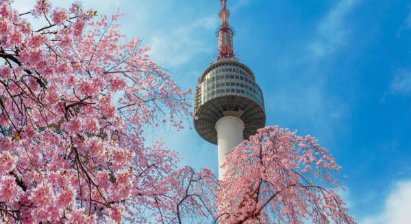 Day 1: Arrival in Seoul - arrival-in-seoul-cGe8Ey9x.jpg
