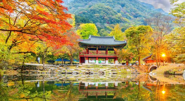 Day 3: Jeonju - Gwangju (B) - jeonju-gwangju-b-cYALqgqC.jpg