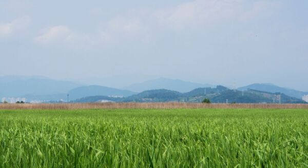 Day 5: Suncheon - Seoul (B) - suncheon-seoul-b-ZLFDpTZH.jpg