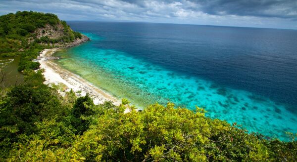 Day 7: Dumaguete – Apo Island Tour (B/L) - dumaguete-apo-island-tour-bl-UNrTYt4E.jpg
