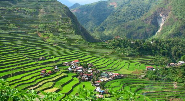 Day 4: Banaue – Batad (Breakfast, Lunch, Dinner) - banaue-batad-breakfast-lunch-dinner-A6r8dHTb.jpg