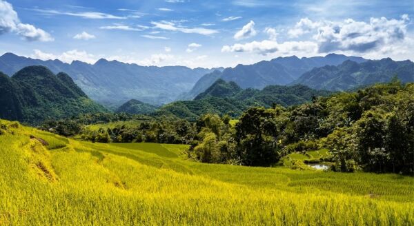 Day 2: HANOI – PU LUONG NATURE RESERVE (B/L) - hanoi-pu-luong-nature-reserve-bl-8W6e7BEf.jpg