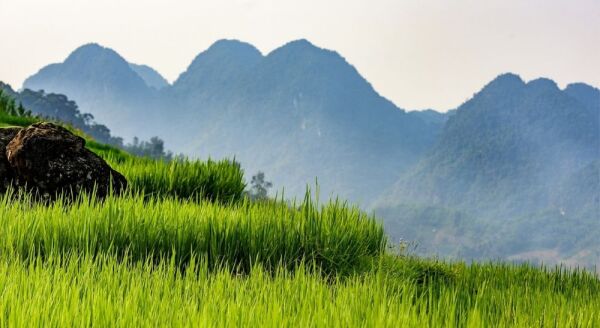 Day 3: PU LUONG TREKKING (B/L) - pu-luong-trekking-bl-Cwy8SMrb.jpg