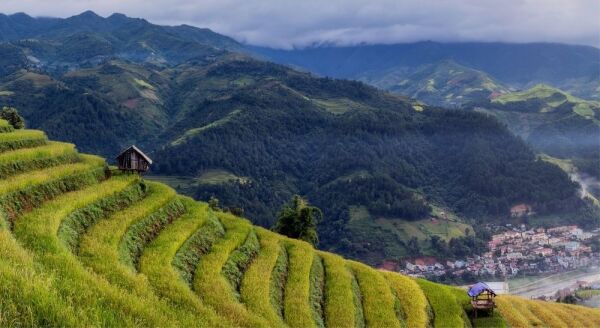 Day 7: TU LE – MU CANG CHAI (B/L) - tu-le-mu-cang-chai-bl-UqOgITkt.jpg