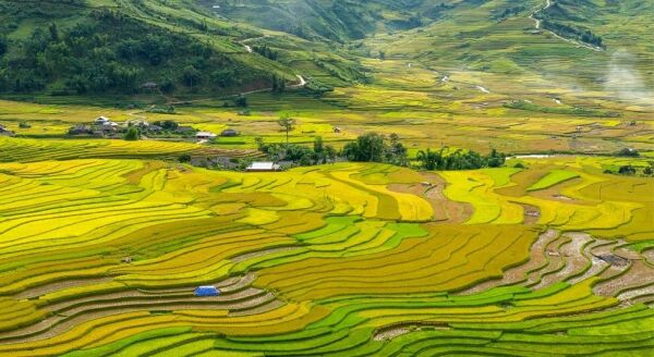 Day 7: TU LE – MU CANG CHAI (B/L) - tu-le-mu-cang-chai-bl-jvigu3YV.jpg