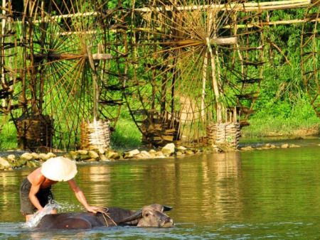 Pu Luong vs Mai Chau in Rice Season: How to Choose the Right Northern Vietnam Escape