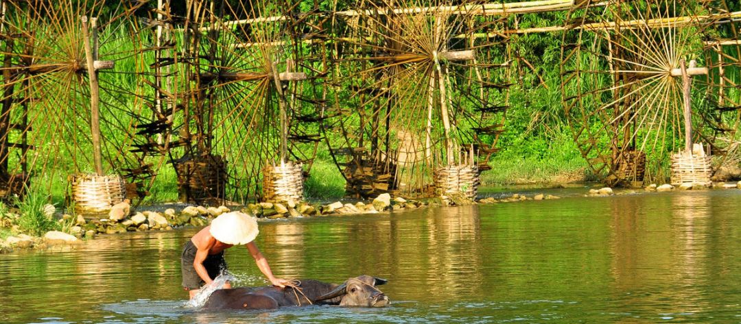 Pu Luong vs Mai Chau in Rice Season: How to Choose the Right Northern Vietnam Escape