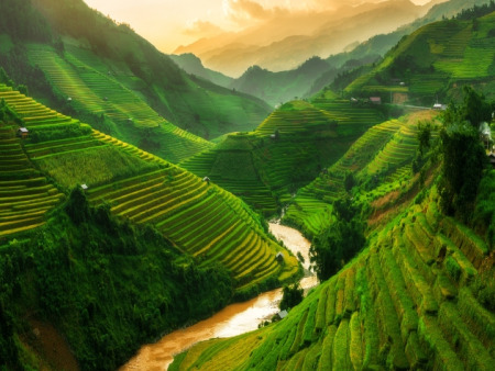 Vietnam’s Rice Harvest Season: A Practical Guide to Five Northern Destinations