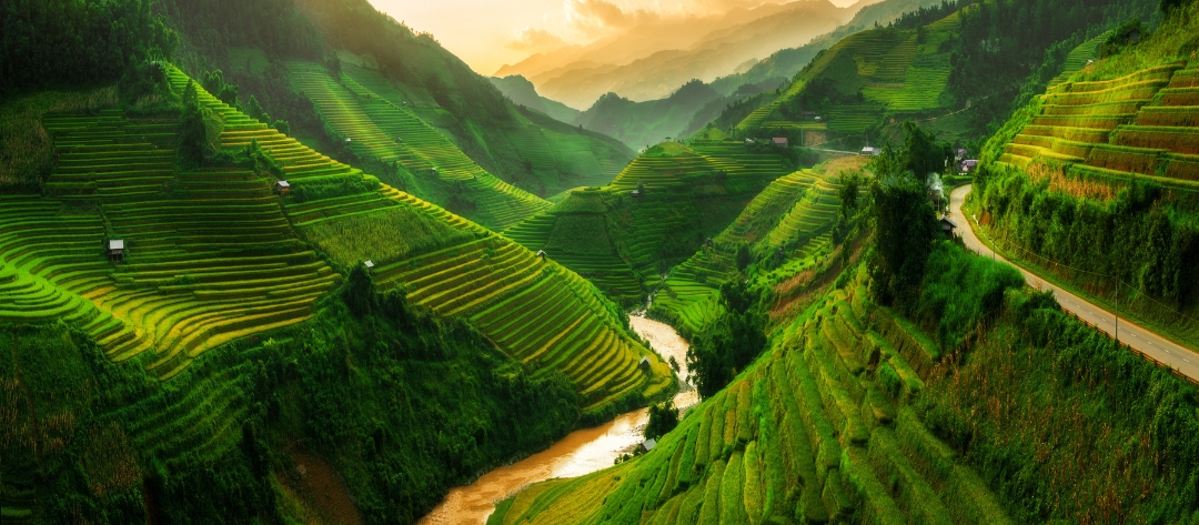Vietnam’s Rice Harvest Season: A Practical Guide to Five Northern Destinations