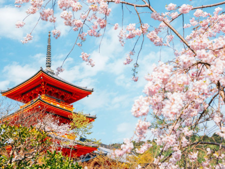 Timeless Japan in 7 Days: Tokyo to Osaka