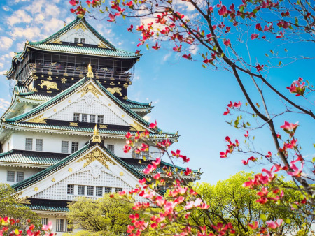 Classic Japan in 14 Days: Tokyo to Nara