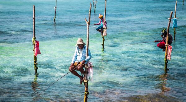 Day 5: STILT FISHERMEN & THE DUTCH FORTRESS OF GALLE (B, L, D) - stilt-fishermen-the-dutch-fortress-of-galle-b-l-d-bZKToGB3.jpg