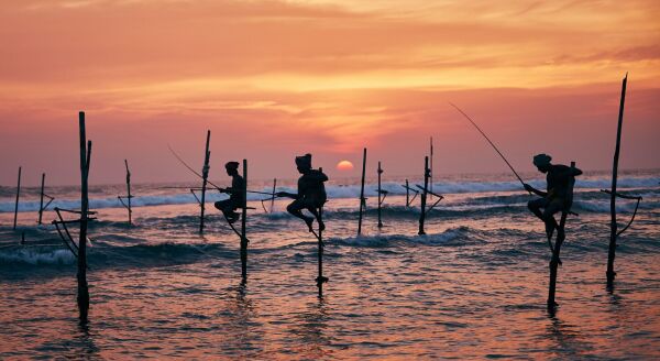 Day 5: KOGGALA STILT FISHERMEN & THE DUTCH FORTRESS OF GALLE (B, L, D) - koggala-stilt-fishermen-the-dutch-fortress-of-galle-b-l-d-KOLlfvLy.jpg