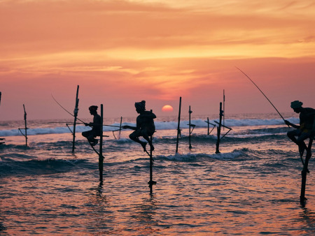 Iconic Sri Lanka in 6 Days