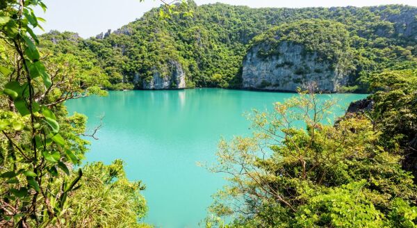 Day 9: Hot Springs & Lagoon Tour with Lunch - Jungle Group Tour - (B/L) - hot-springs-lagoon-tour-with-lunch-jungle-group-tour-bl-zFUeALka.jpg