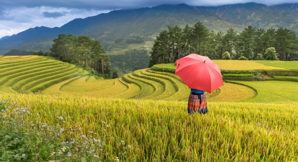 Day 3: Hanoi to Sapa by Limousine Bus (B)
