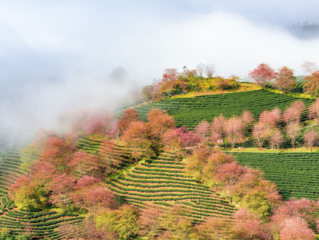Vietnam: Melody Of Mountain and Sea In 8 Days