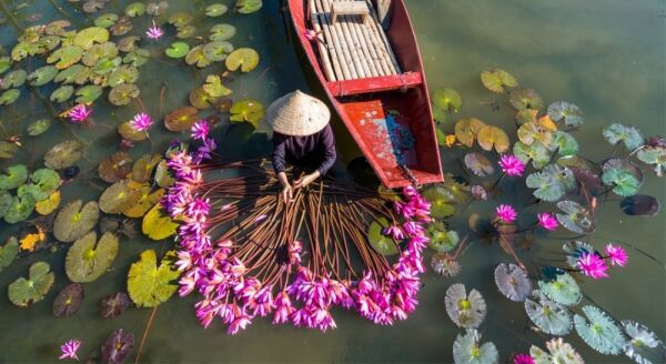 Day 2: Day Trip To Hoa Lu - Tam Coc - Mua Cave (B/L) - Group Tour