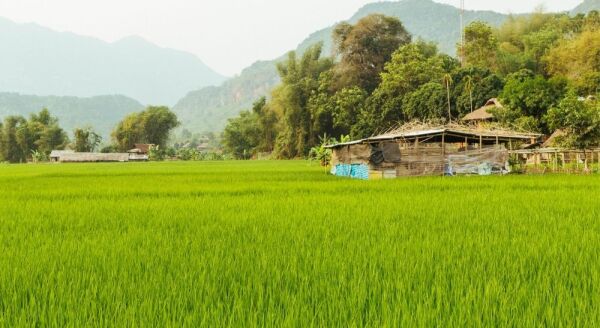 Day 3: Hanoi - Transfer To Mai Chau (B) Private Transfer